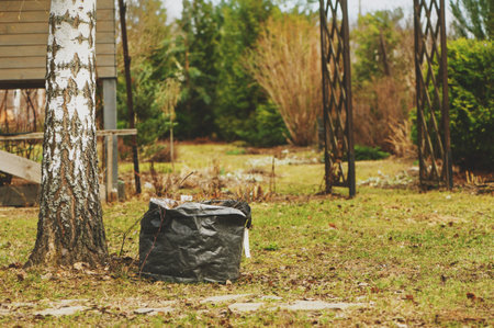 early spring cleaning in garden. Raking leaves. Composting in bags. Seasonal yardwork.