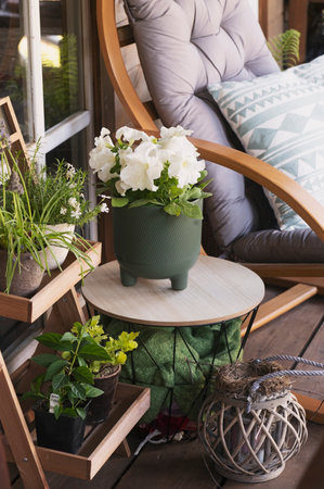 country house front porch decorated with chair, petunias and flower pots. Summer patio decor.の写真素材