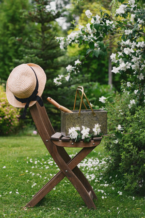 garden tools in box and straw on wooden chair with blooming Sweet Mock-orange on backgroundの写真素材