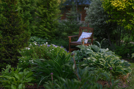 beautiful natural summer cottage garden view with wooden chair on backgroundの写真素材