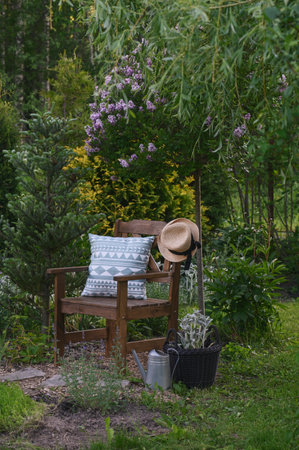 wooden garden chair with pillow and straw. Blooming Meyer lilac (Syringa meyeri 'Palibin' in rustic wild cottage gardenの写真素材