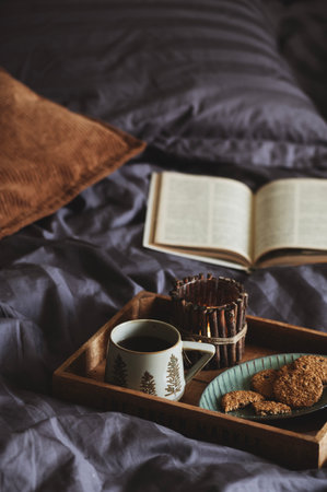 dark gray and brown rustic bedroom with satin stripe bedding, cozy day with book tea and cookiesの写真素材