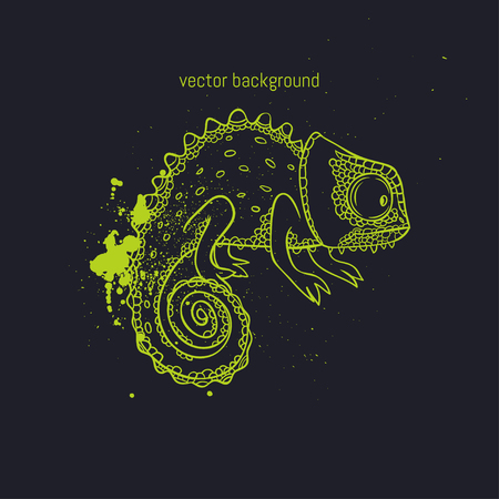illustration of chameleonのイラスト素材