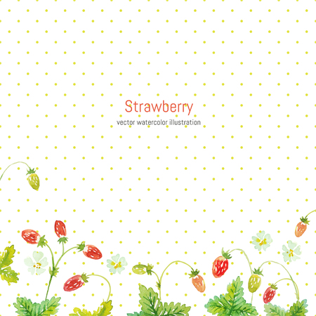 Forest strawberry. Hand painted watercolor illustration. Vector floral background.のイラスト素材