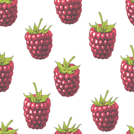 Raspberry. Vintage hand drawn illustration with red berries. Vector seamless patternのイラスト素材