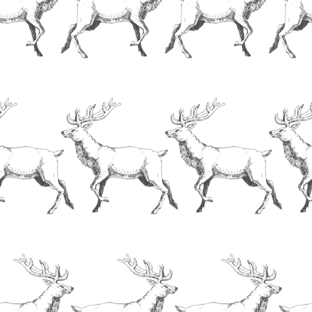 Vector seamless pattern with hand drawn forest deers. Background with wild animals. Black and white textureのイラスト素材