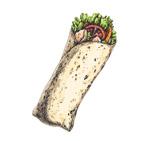 Tasty wrap with tomatoes, pieces of pepper, meat and lettuce leaves isolated on white. Hand drawn vintage illustration with traditional mexican or arabic food.のイラスト素材