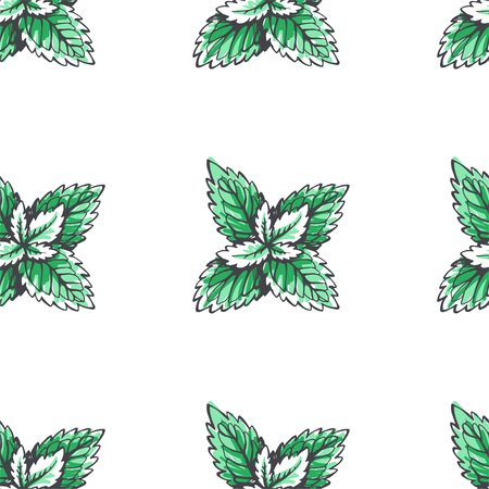 Vector seamless pattern with mint leaves. Botanical hand drawn illustration of herb. Floral textureのイラスト素材