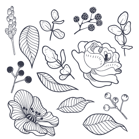 Set of vintage isolated floral elements for invitation card and label design. Blooming rose and anemone with leaves and herbs for bouquet. Vector botanical hand drawn illustration.のイラスト素材