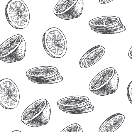 Vector vintage seamless pattern with lime isolated on white. Hand drawn texture with citrus slices in engraving style. Fruit rounds sketchのイラスト素材