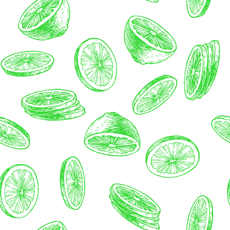 Vector vintage seamless pattern with lime isolated on white. Hand drawn texture with green slices of citrus. Fruit rounds sketchのイラスト素材