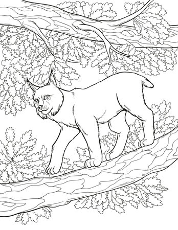 Vector illustration of a lynx on an oak tree against a background of foliage. A sketch with an animal on a tree. Outline drawing for coloring books for adults.のイラスト素材