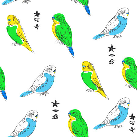 Vector seamless pattern with budgies. Hand-drawn endless texture with parrots in sketch style.