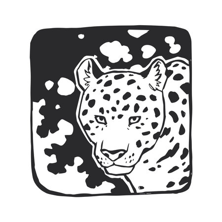 Vector hand-drawn illustration of a jaguar head on natural background. A stamp with a wild Brazilian animal.のイラスト素材
