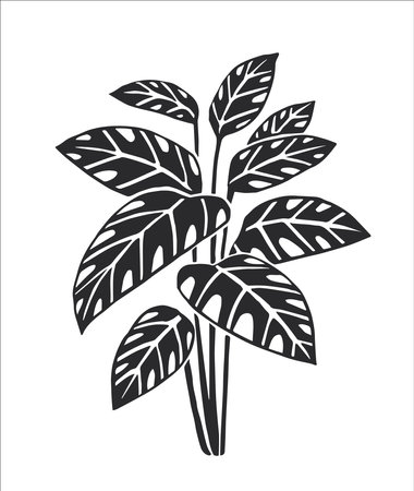 Vector hand-drawn illustration of a tropical plant. A stamp with a floral element of South American nature. A sketch of Calatheaのイラスト素材