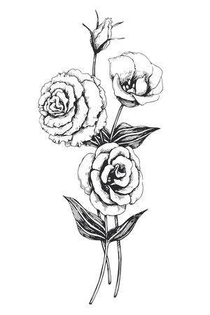 Vector hand-drawn illustrations of a eustoma bouquet. Black and white sketch of flowers.のイラスト素材