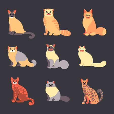 Vector set of cats in a flat style isolated on background. Collection of pets.のイラスト素材