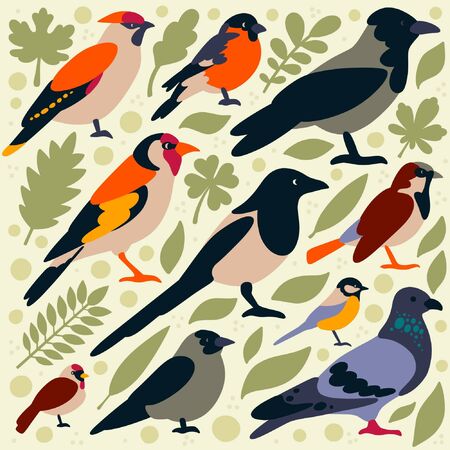 Flat style illustration with pigeon, crow, magpie, bullfinch, sparrow, goldfinch, waxwing, tit, jackdaw,  redpoll. Vector set of wintering birds with elements (leaves)のイラスト素材