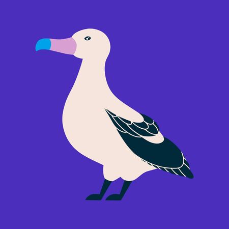 Vector illustration of seabird in a flat style. Atlantic seabird. Cartoon styleのイラスト素材