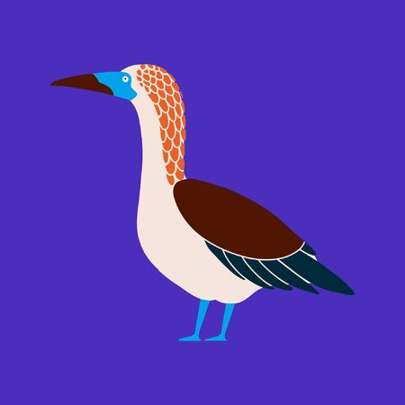 Vector illustration of booby bird in a flat style. Atlantic seabird. Cartoon styleのイラスト素材