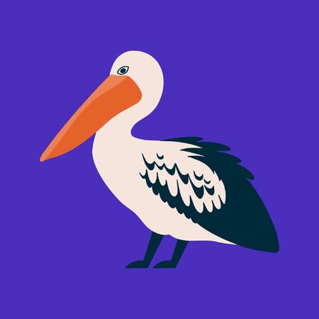 Vector illustration of pelican in a flat style. Atlantic seabird. Cartoon styleのイラスト素材