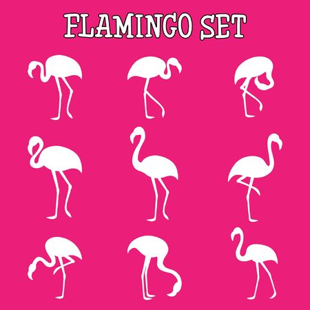 Hand drawing set of flamingosのイラスト素材