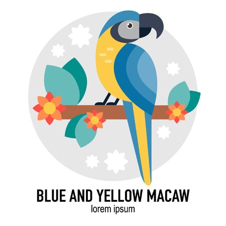 Blue and yellow Macaw bird vector flat illustration with leaves and flowersのイラスト素材