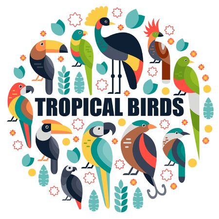 Flat style illustration with Toucan, Blue and Yellow Macaw, Bird of Paradise and other types of birds. Vector set of Tropical birds with flowers and leaves.のイラスト素材