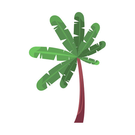 An element of beach landscape. A palm tree on an isolated background. Vector illustration in a flat styleのイラスト素材