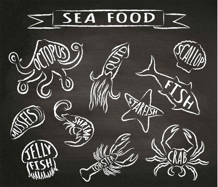 Seafood chalk contour  vector illustrations on blackboard, elements for restaurant menu design, decor, label. Chalk textured grunge contours of sea animals with names.のイラスト素材