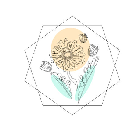 Vector illustration with gerbera flower and buds in geometric frame in doodle techniqueのイラスト素材