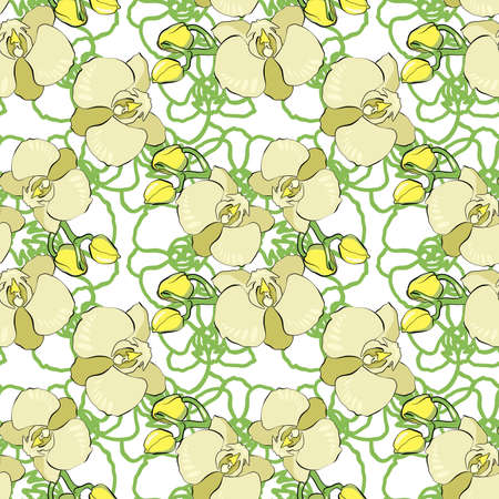 Seamless  vector floral pattern with orchid flowers on a white backgroundのイラスト素材