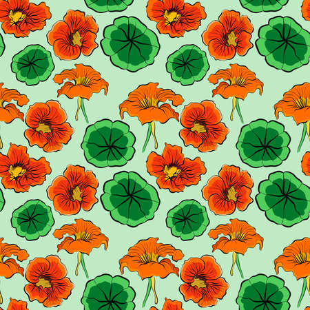 Seamless botanical pattern with nasturtium flowers and leaves on a green background vector illustrationのイラスト素材