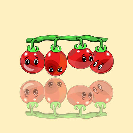 Funny tomatoes cartoon character design in digital flat technique vector illustrationのイラスト素材