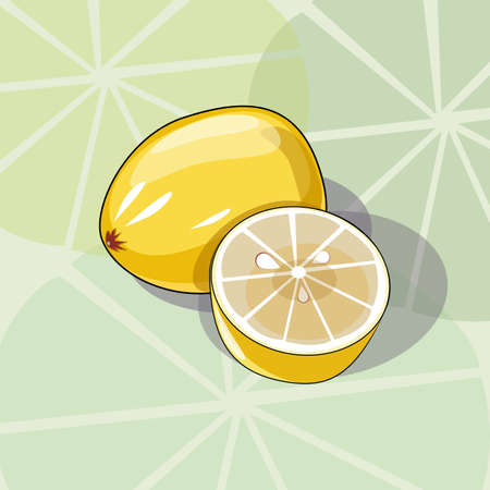 Vector illustration with whole lemon and half lemon on a green background in digital flat techniqueのイラスト素材