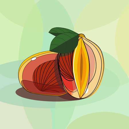 Mango whole and cut in digital flat technique on a green geometric backgroundのイラスト素材