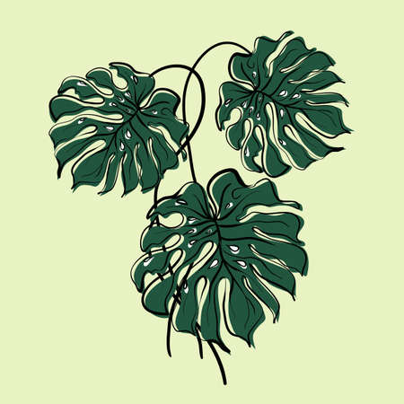 Tropical monstera with big green leaves on a yellow background in digital flat techniqueのイラスト素材
