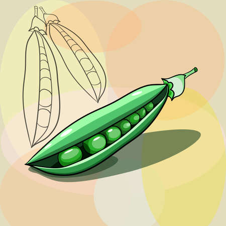 Green peas vector illustration on a yellow geometric background in digital flat techniqueのイラスト素材