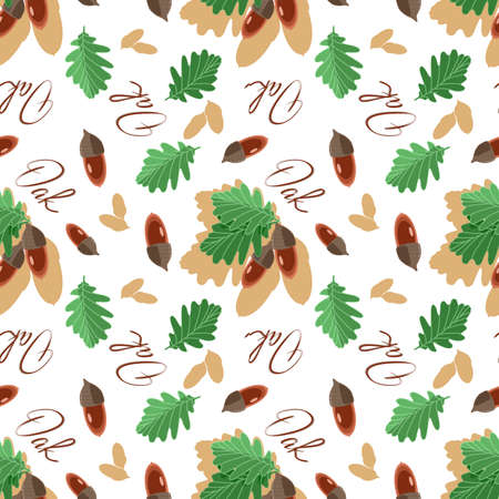 Seamless botanical pattern with oak leaves and acorns and lettering in flat techniqueのイラスト素材