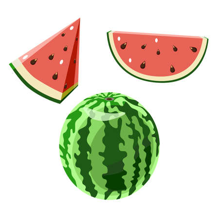 Vector illustration with watermelon whole and sliced isolated on white background in flat techniqueのイラスト素材