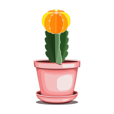 Moon cactus in ceramic pot in flat technique vector illustrationのイラスト素材