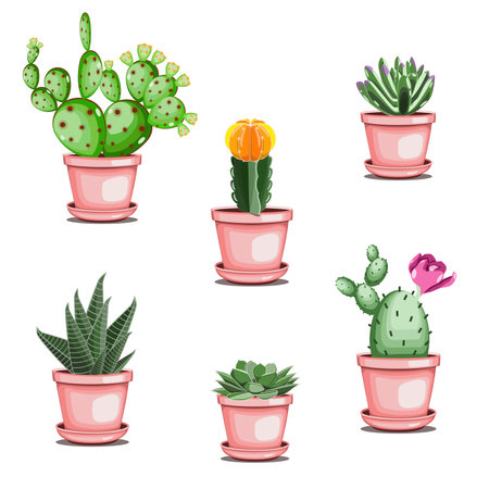 Set of cactuses and succulents in ceramic pots in flat technique vector illustrationのイラスト素材