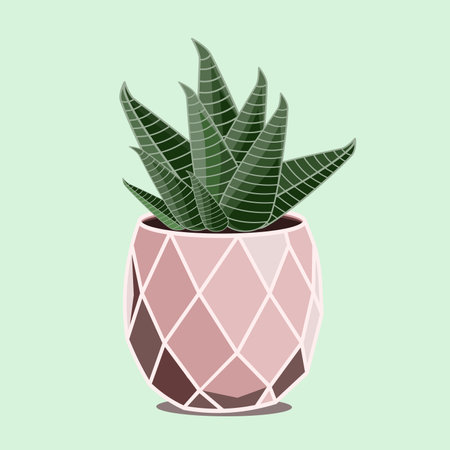 Zebra cactus houseplant in ceramic pot in flat technique vector illustrationのイラスト素材