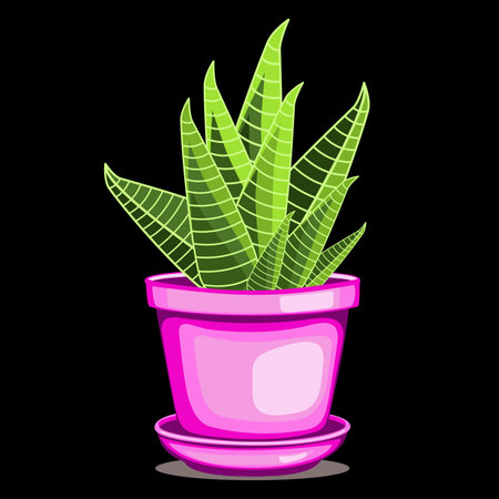 Zebra cactus houseplant in ceramic pot in flat technique vector illustrationのイラスト素材