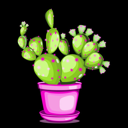 Prickly pear cactus in ceramic pot in flat technique vector illustrationのイラスト素材