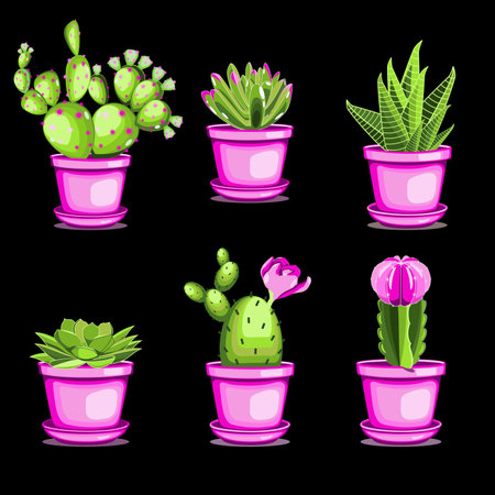 Cactuses and succulents in ceramic pots in flat technique vector illustrationのイラスト素材
