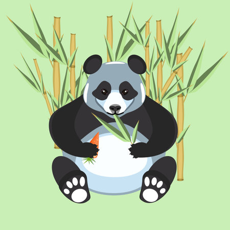 Panda in the bamboo bush eating carrot and leaves in flat technique vector illustrationのイラスト素材