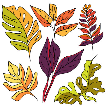 Botanical set of tropical plants in doodle technique vector illustrationのイラスト素材