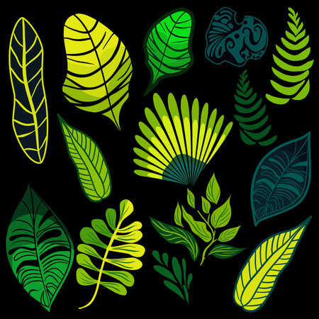 Set of tropical rainforest plants vector illustrationのイラスト素材