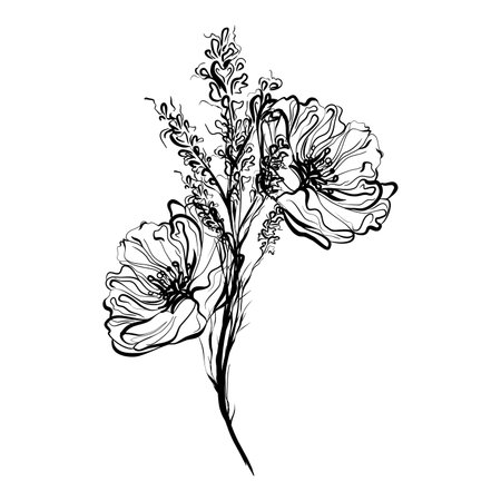 Hand drawn poppies. Black and white vector illustration isolated on white background.のイラスト素材